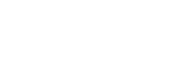 看国外网站 - 海龟伴侣